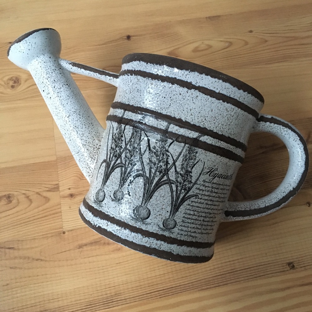 🎁 Decorative Watering Can 🌸